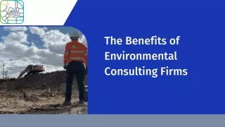 The Benefits of Environmental Consulting Firms