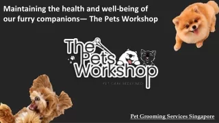 Maintaining the health and well-being of our furry companions— The Pets Workshop