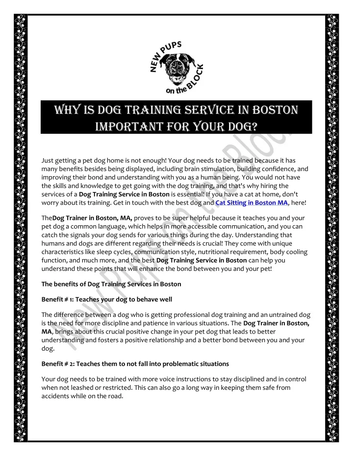 why is dog training service in boston important