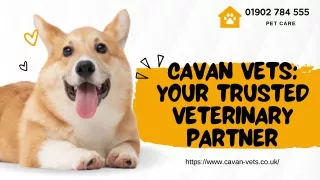 01902 784 555 pet care