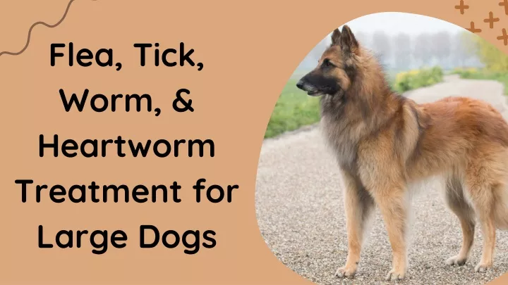 flea tick worm heartworm treatment for large dogs