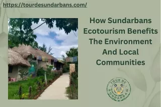 How Sundarbans Ecotourism Benefits The Environment And Local Communities