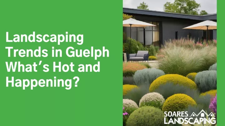 landscaping trends in guelph what