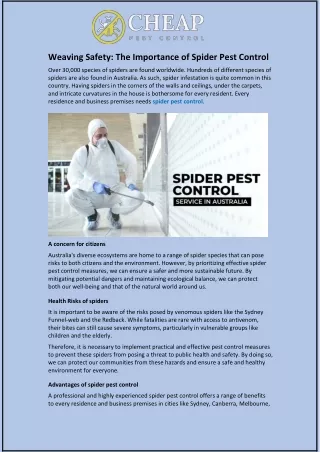 Weaving Safety: The Importance of Spider Pest Control