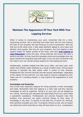 Maintain The Appearance Of Your Yard With Tree Lopping Services