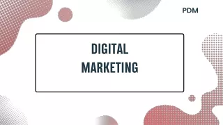 Best SEO Services in Panchkula | Param digital