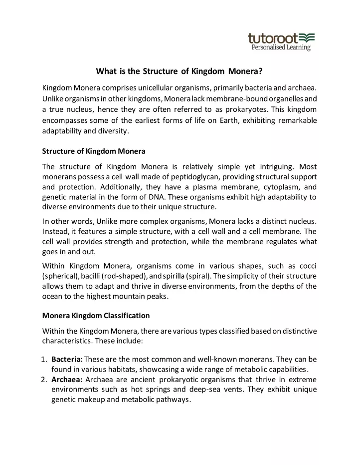 what is the structure of kingdom monera
