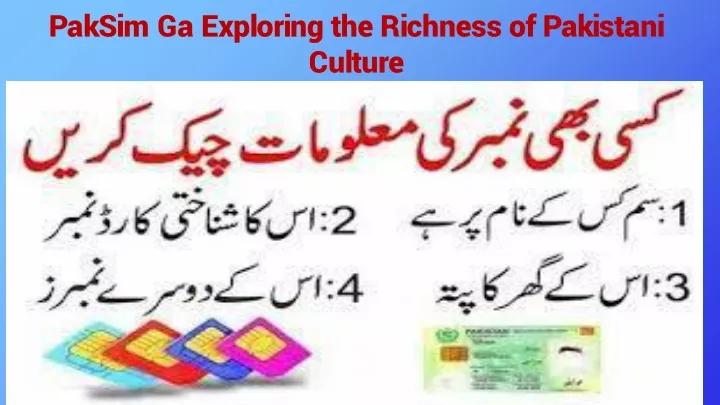 paksim ga exploring the richness of pakistani