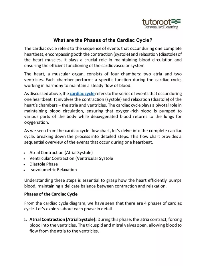 what are the phases of the cardiac cycle