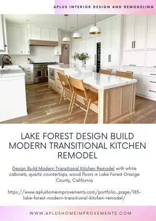 Lake Forest design build Modern Transitional Kitchen Remodel