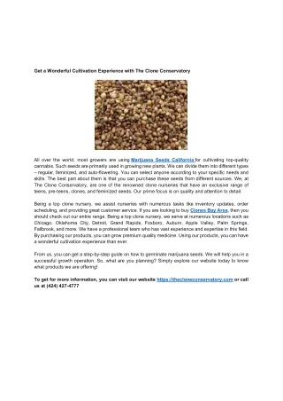 get a wonderful cultivation experience with