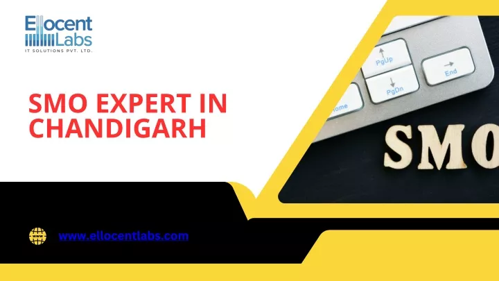 smo expert in chandigarh