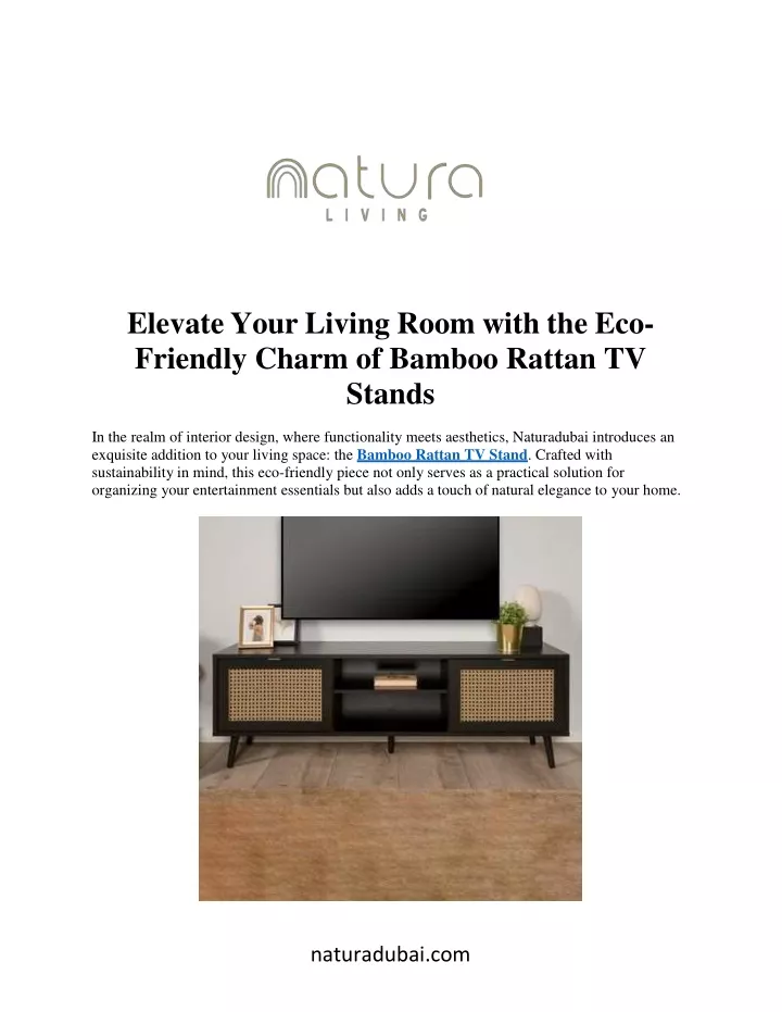 elevate your living room with the eco friendly