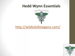 Oregano Oil for Gut Health,  wildoiloforegano.com