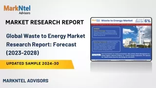 Global Waste to Energy Market Research Report: Forecast (2023-2028)