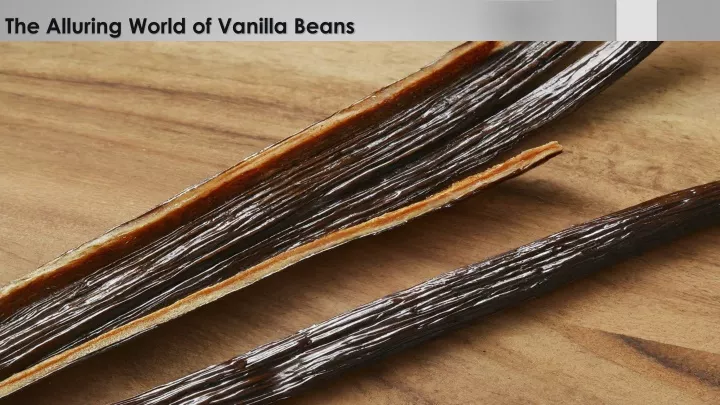 the alluring world of vanilla beans