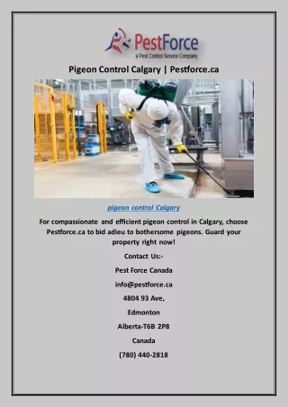 Pigeon Control Calgary | Pestforce.ca