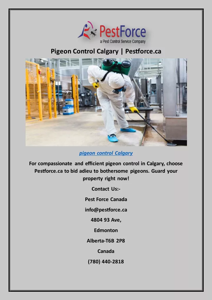 pigeon control calgary pestforce ca