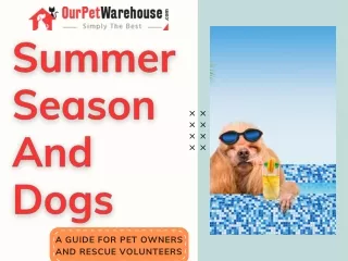Summer and dogs