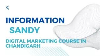 Digital marketing course in chandigarh