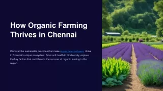 How Organic Farming Practices Thrive in Chennai’s Ecosystem