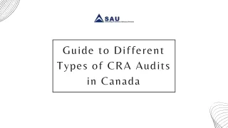 Guide to Different Types of CRA Audits in Canada