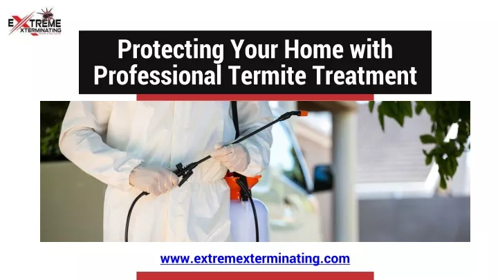 protecting your home with professional termite