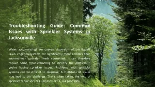Common Issues with Sprinkler Systems in Jacksonville