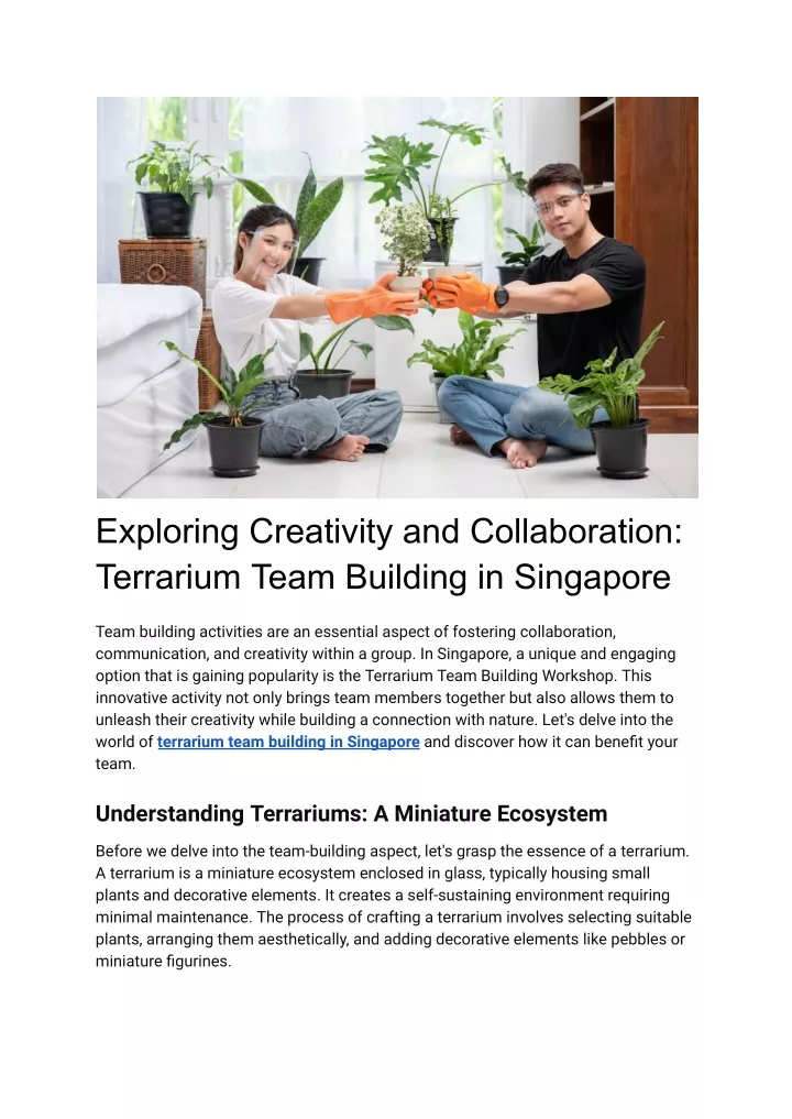 exploring creativity and collaboration terrarium