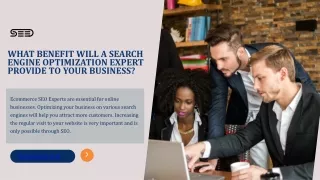 What Benefit Will A Search Engine Optimization Expert Provide to Your Business