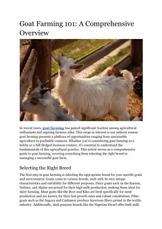 Goat Farming 101_ A Comprehensive Overview