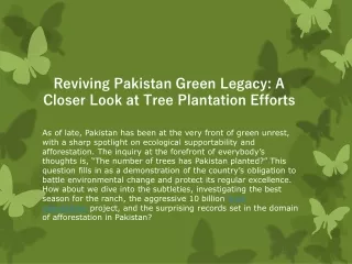 Reviving Pakistan Green Legacy A Closer Look at Tree Plantation Efforts