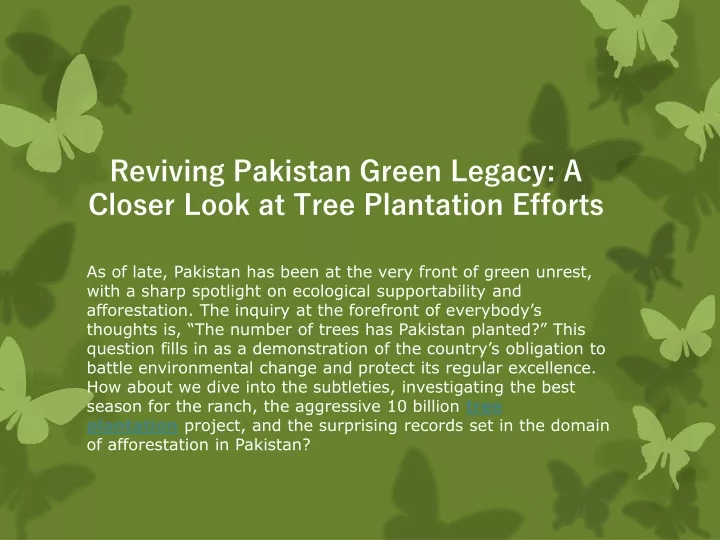 reviving pakistan green legacy a closer look at tree plantation efforts
