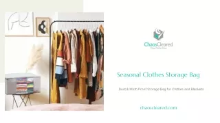 Best Seasonal Clothes Storage Bag - Chaos Cleared