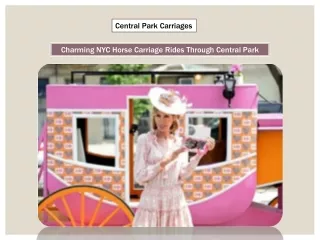 Charming NYC Horse Carriage Rides Through Central Park