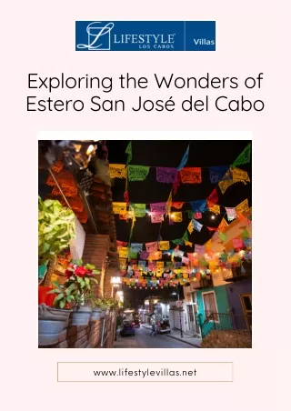 Exploring the Magnificent Estero San José del Cabo