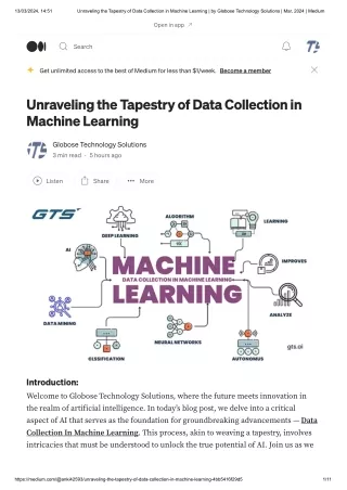 Unraveling the Tapestry of Data Collection in ML