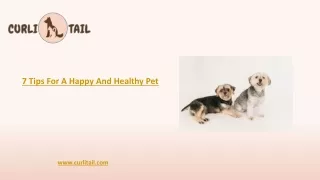 7 Tips For A Happy And Healthy Pet