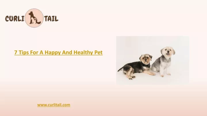 7 tips for a happy and healthy pet