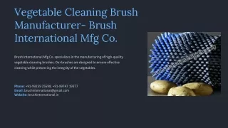 Vegetable Cleaning Brush Manufacturer, Best Vegetable Cleaning Brush Manufacture