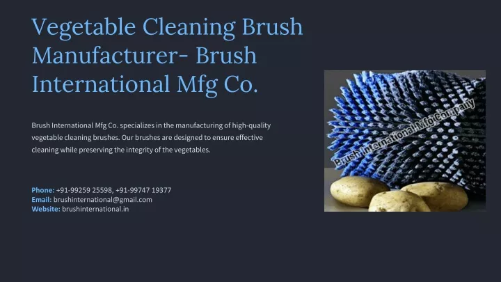 vegetable cleaning brush manufacturer brush