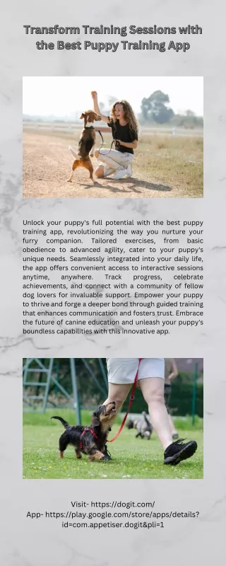 Transform Training Sessions with the Best Puppy Training App