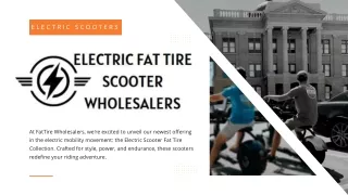 Electric Fat Tire Scooter Wholesalers