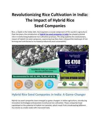 Revolutionizing Rice Cultivation in India: The Impact of Hybrid Rice Seed Compan