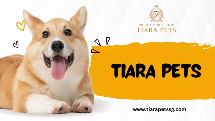 tiara pets