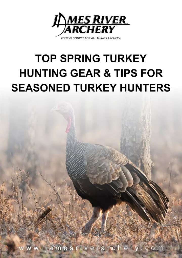 top spring turkey hunting gear tips for seasoned