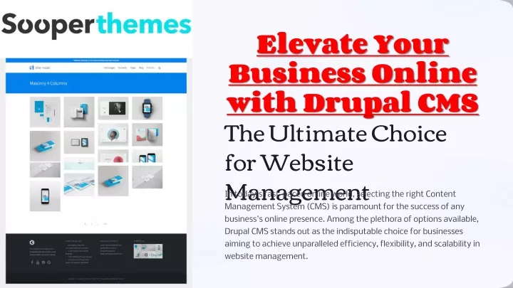 elevate your business online with drupal