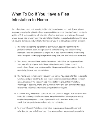 What To Do If You Have a Flea Infestation In Home