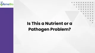 Is this a nutrient or a pathogen problem