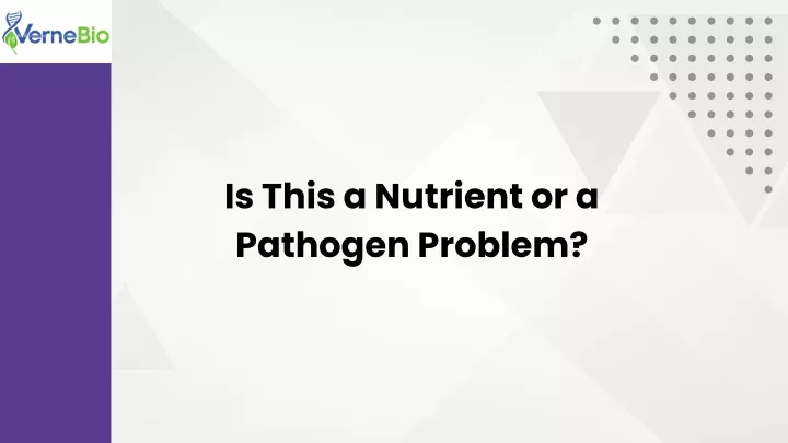 is this a nutrient or a pathogen problem
